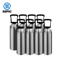 ISO7866 120mm 2L 1.5kg TPED Aluminum Cylinder
