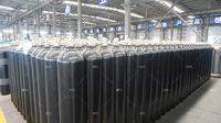 47L Nitrogen Cylinder